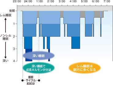 睡眠パターン