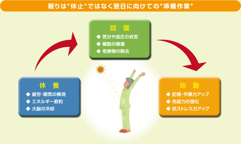 
眠りは“休止”ではなく翌日に向けての“準備作業”　
■休養 ◆ 疲労・眠気の解消◆ エネルギー節約◆ 大脳の冷却
→
■回復 ◆ 気分や血圧の安定◆ 細胞の修復◆ 老廃物の除去
→
■始動 ◆ 記憶・作業力アップ◆ 免疫力の強化◆ 抗ストレス力アップ
